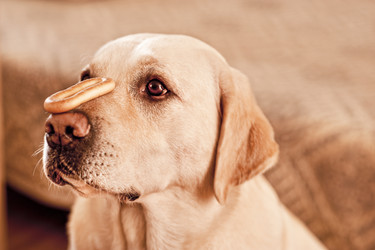 Similar image 346911