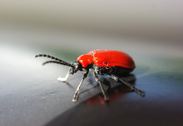 Similar image 346912