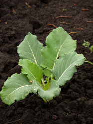 Similar image 346924