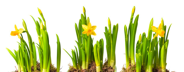 Similar image 346950