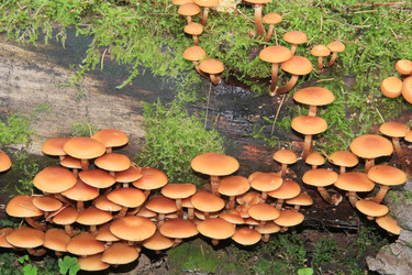 Similar image 346955