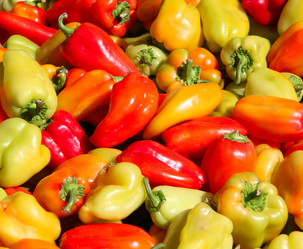 Similar image 346974