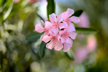 Similar image 346996