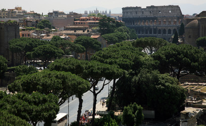 Similar image 347044