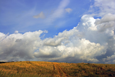 Similar image 347060