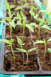 Similar image 347062