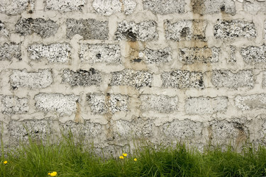 Similar image 347154