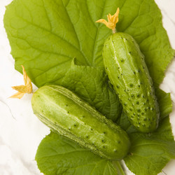 Similar image 347167