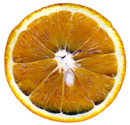 Similar image 347373