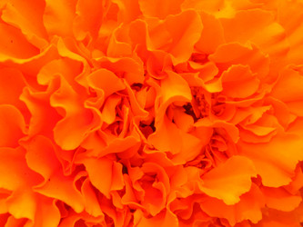 Similar image 347408