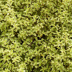 Similar image 347438