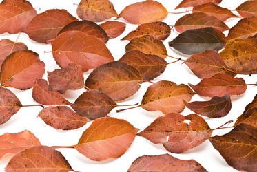 Similar image 347441