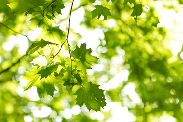 Similar image 347442