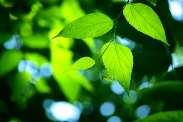 Similar image 347490