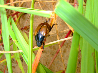 Similar image 347514