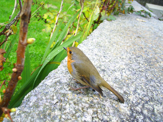 Similar image 347517