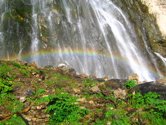 Similar image 347527