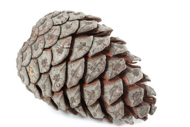 Similar image 347667