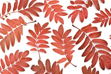 Similar image 347675