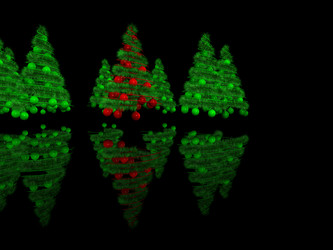 Similar image 347716