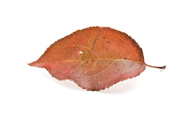 Similar image 347725