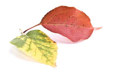 Similar image 347726