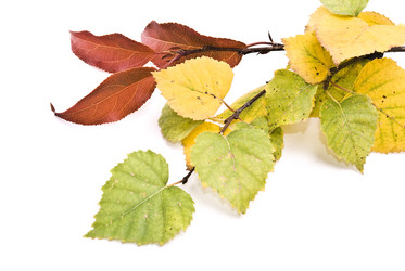 Similar image 347728