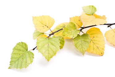 Similar image 347730