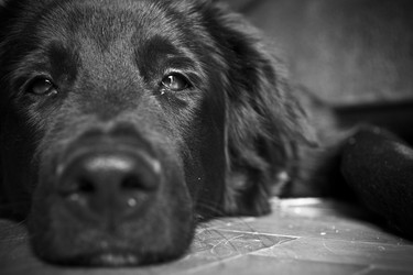 Similar image 347731