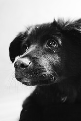 Similar image 347733