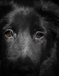 Similar image 347734