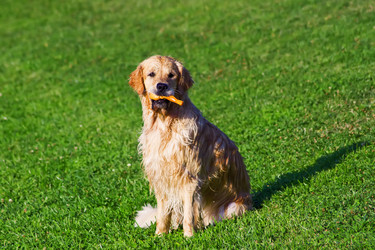 Similar image 347737