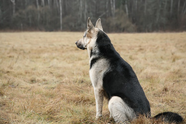 Similar image 347738