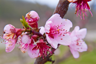 Similar image 347742