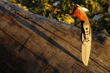 Similar image 347776