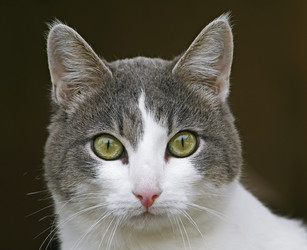 Similar image 347778