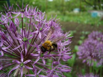 Similar image 347786