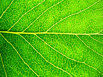 Similar image 347810