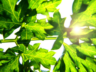 Similar image 347812