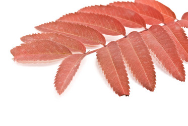 Similar image 347815