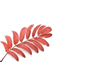 Similar image 347816