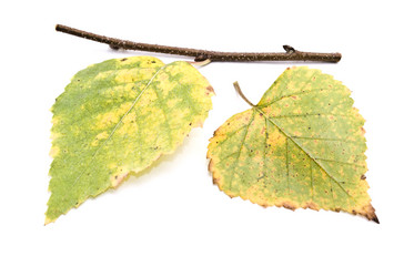 Similar image 347818