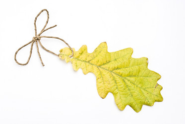 Similar image 347824