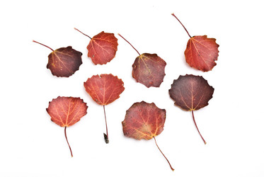 Similar image 347830