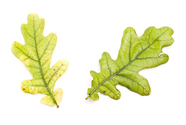 Similar image 347833