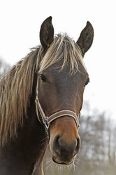 Similar image 347882