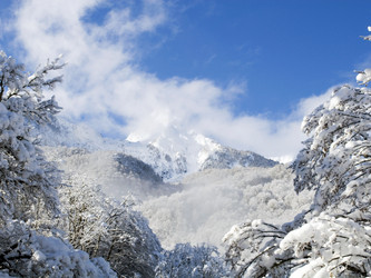 Similar image 347899