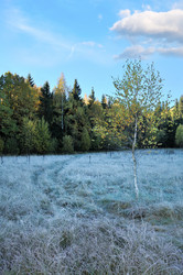 Similar image 347900