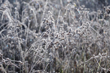 Similar image 347902