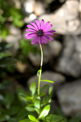 Similar image 347912